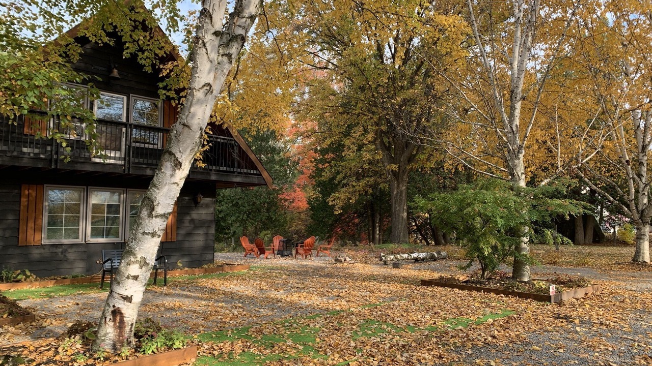 Photo of Outdoor in Brock