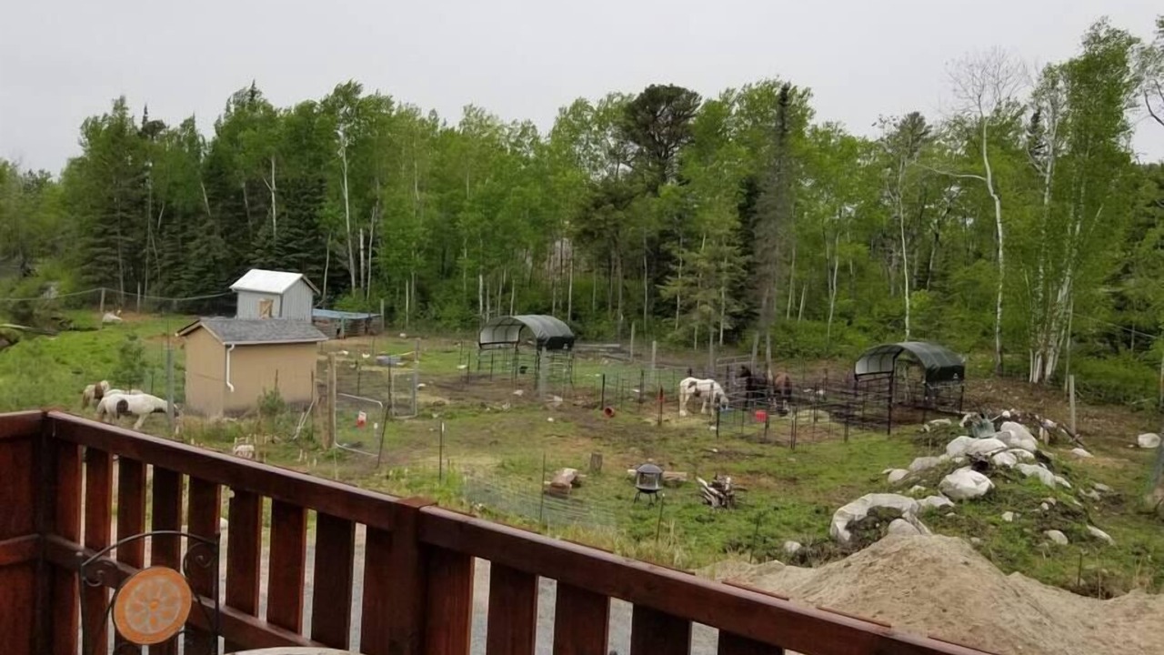Photo of Others in Kenora