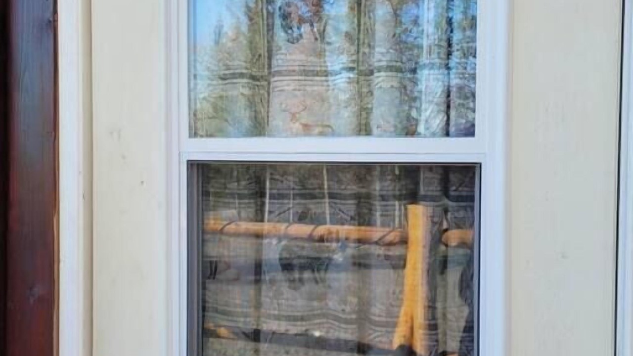 Photo of Others in Kenora