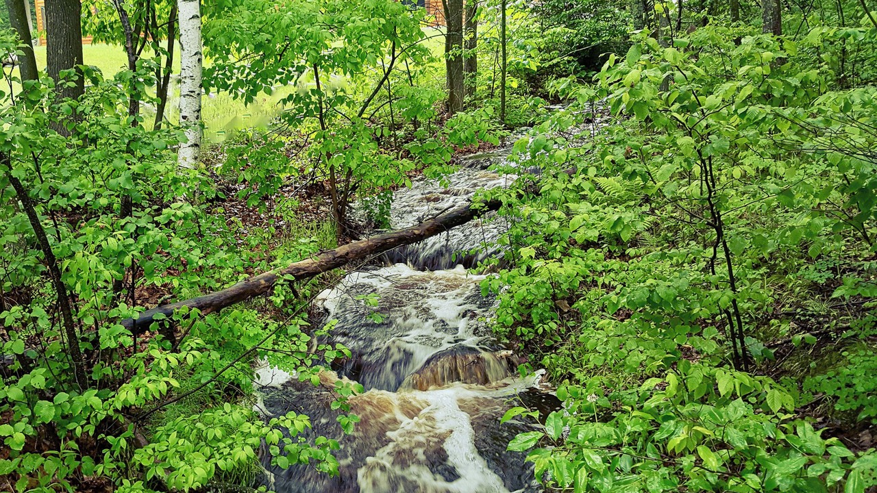 Photo of Outdoor in Remer