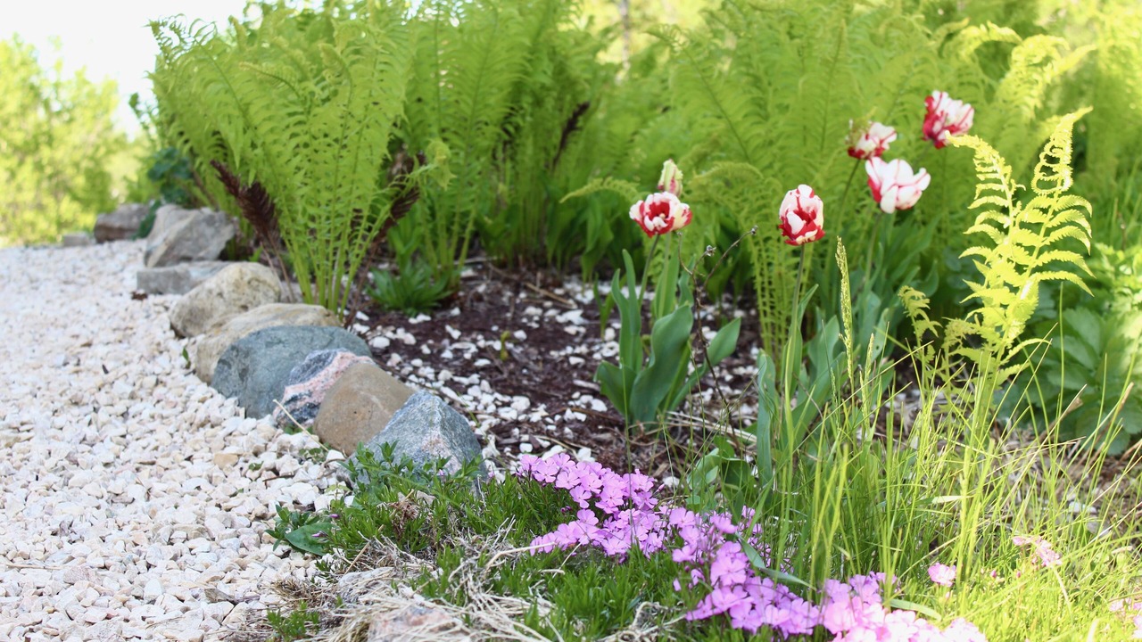 Photo of Outdoor in Port Elmsley