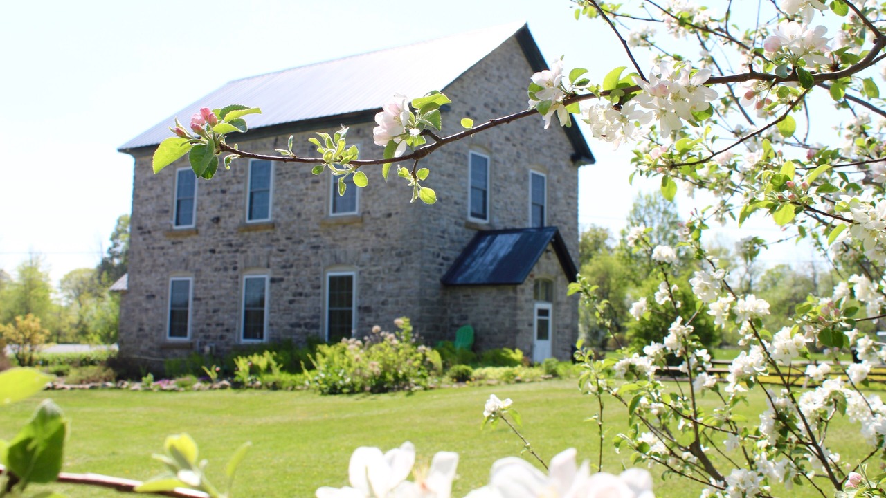 Photo of Outdoor in Port Elmsley