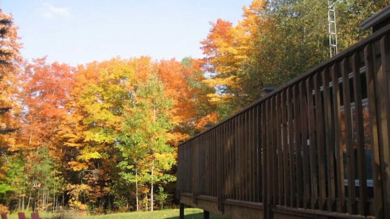 Photo of Outdoor in Wollaston