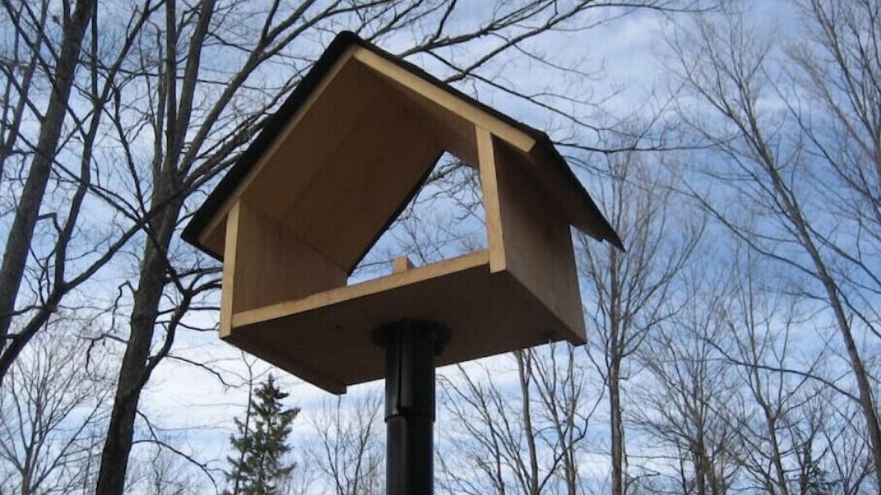 Photo of Outdoor in Wollaston