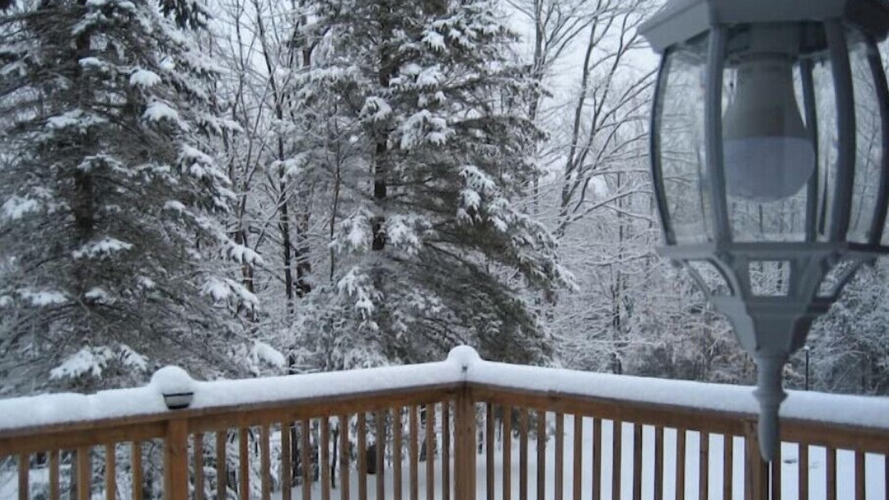 Photo of Outdoor in Wollaston