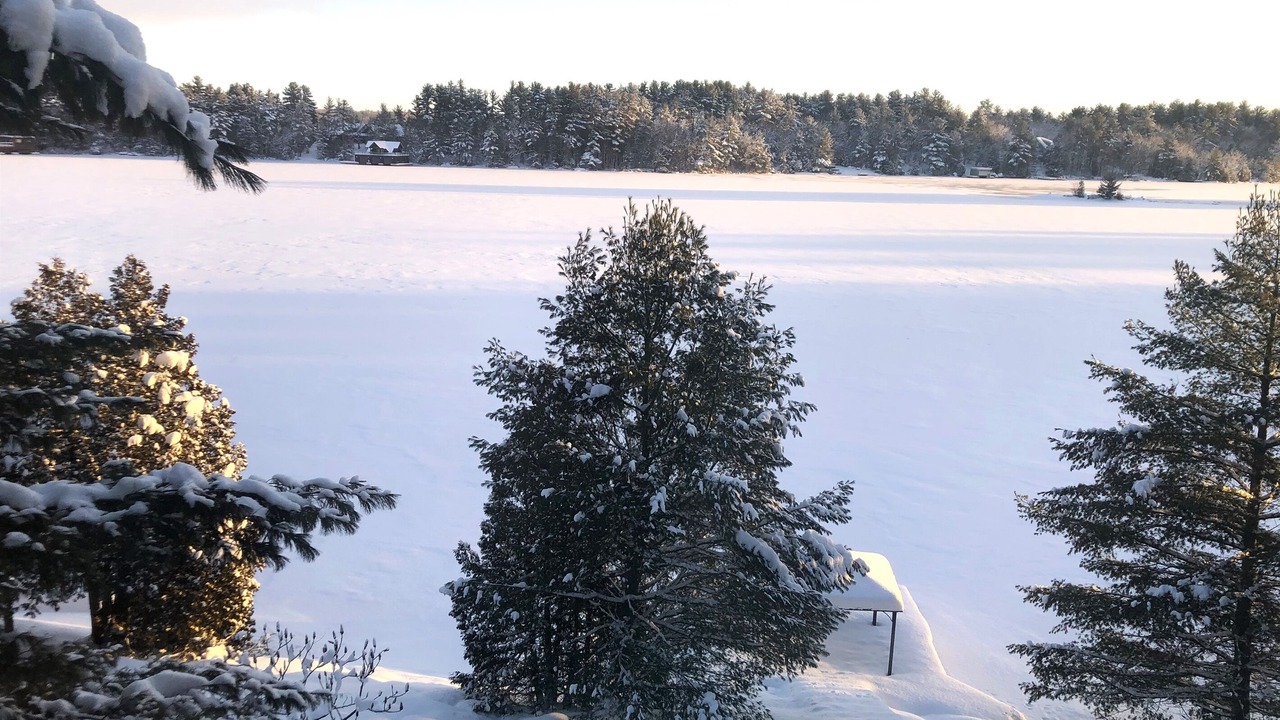 Photo of Outdoor in Gravenhurst