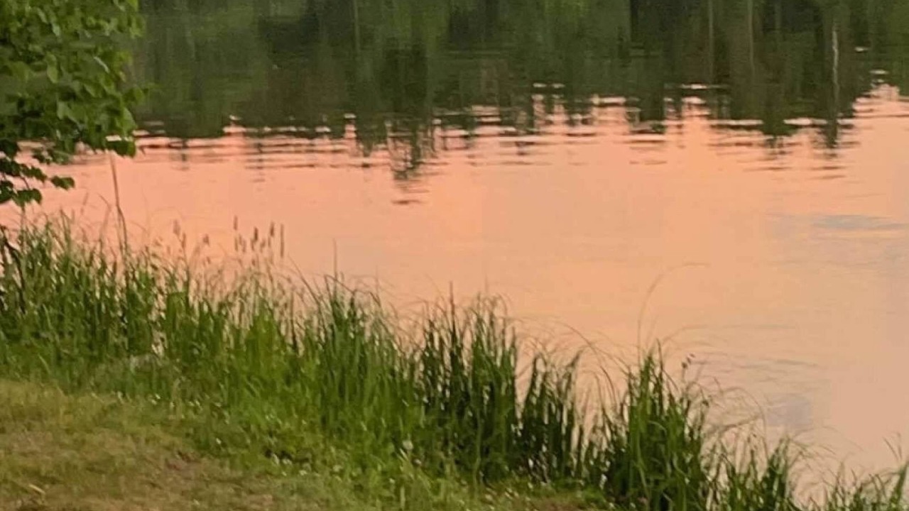 Photo of Outdoor in Walker