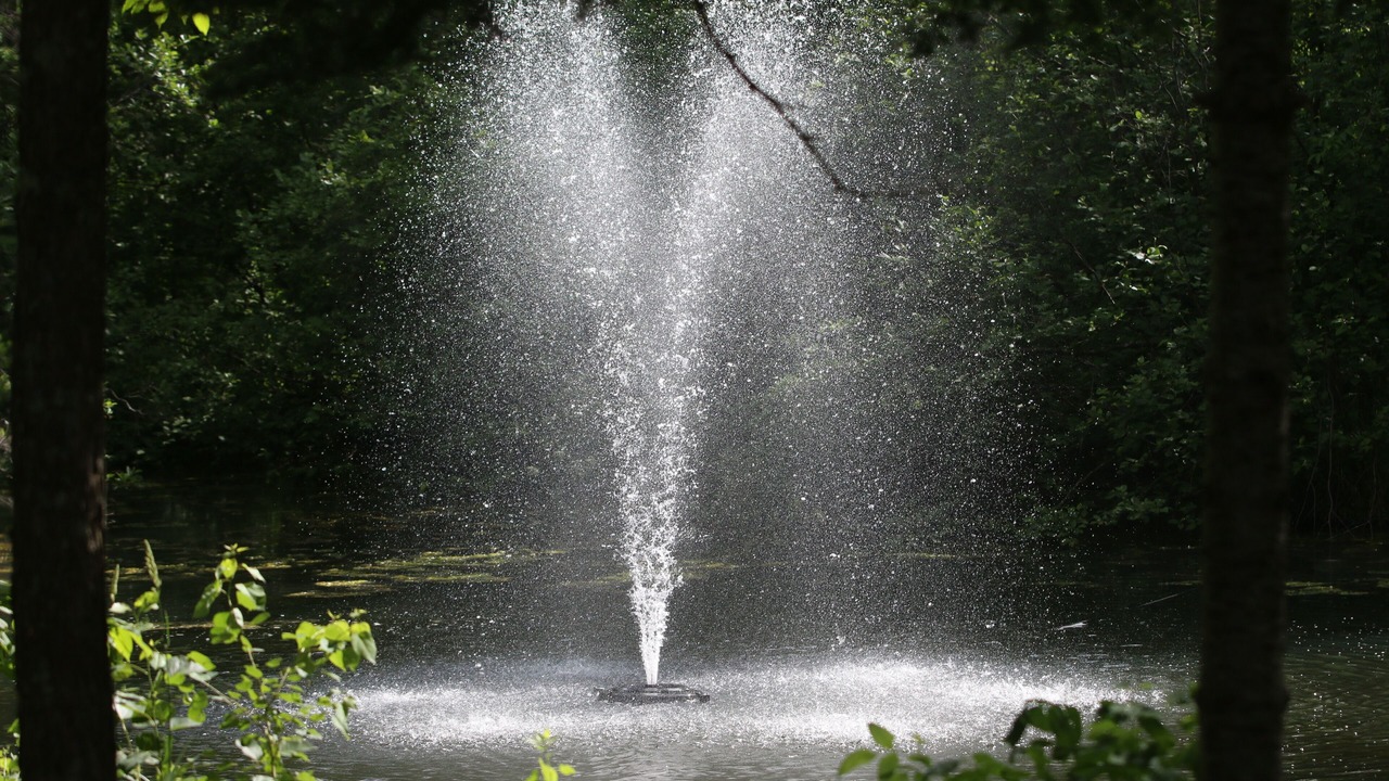 Photo of Outdoor in Rutledge