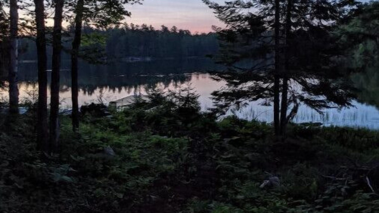 Photo of Outdoor in Harcourt