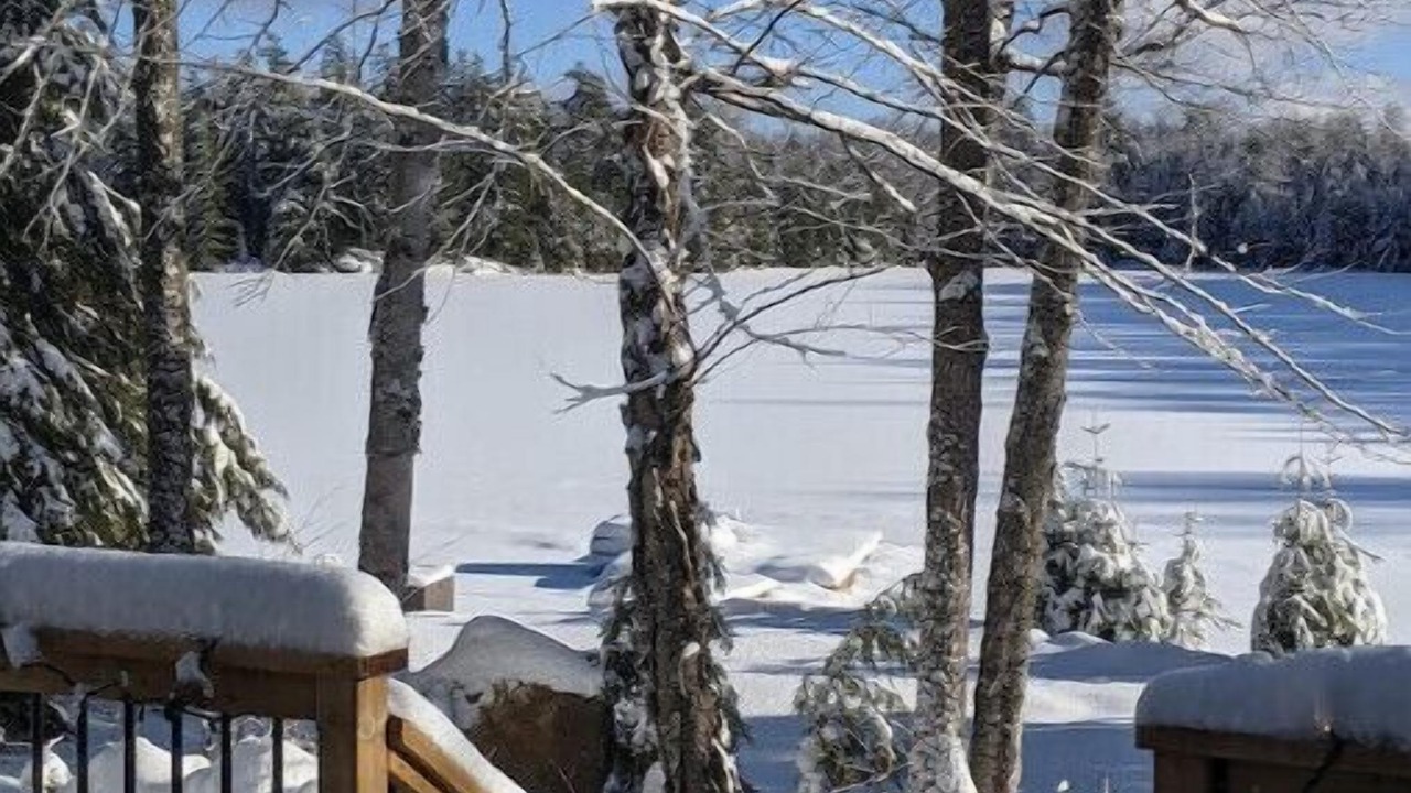 Photo of Outdoor in Harcourt