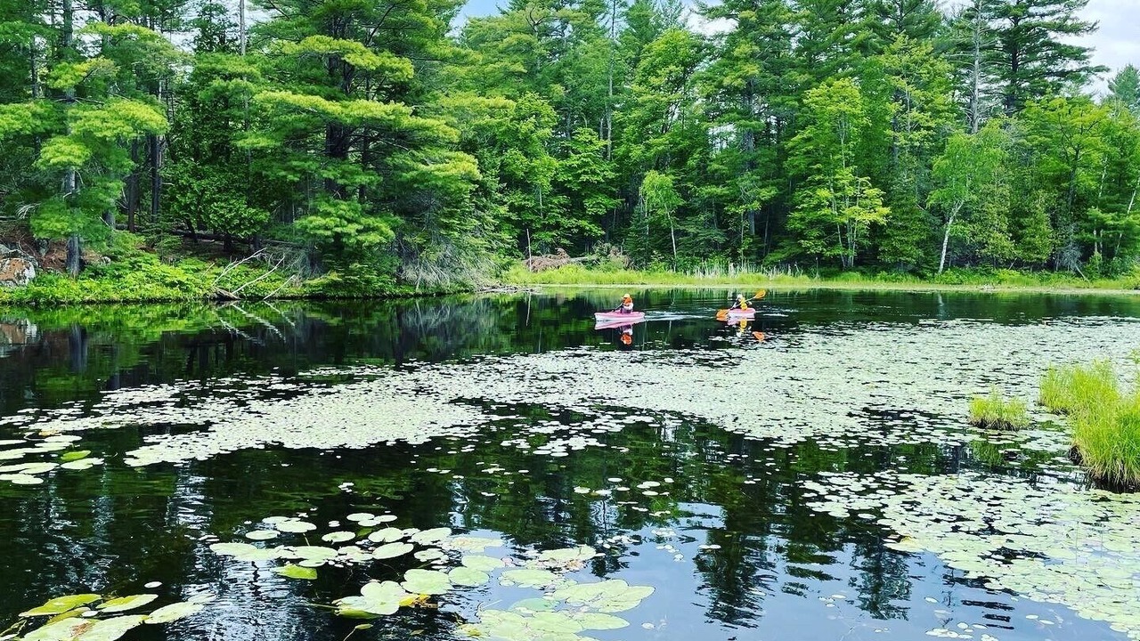Photo of Others in Round Lake