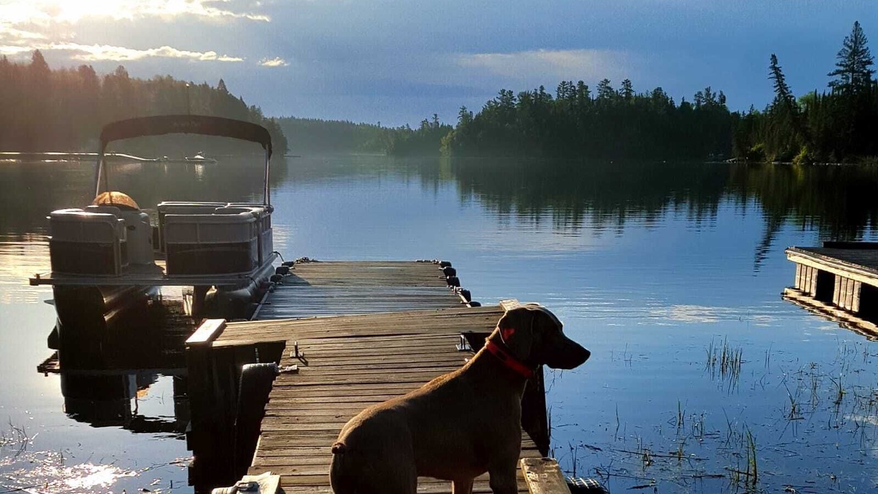Photo of Others in Northern Ontario