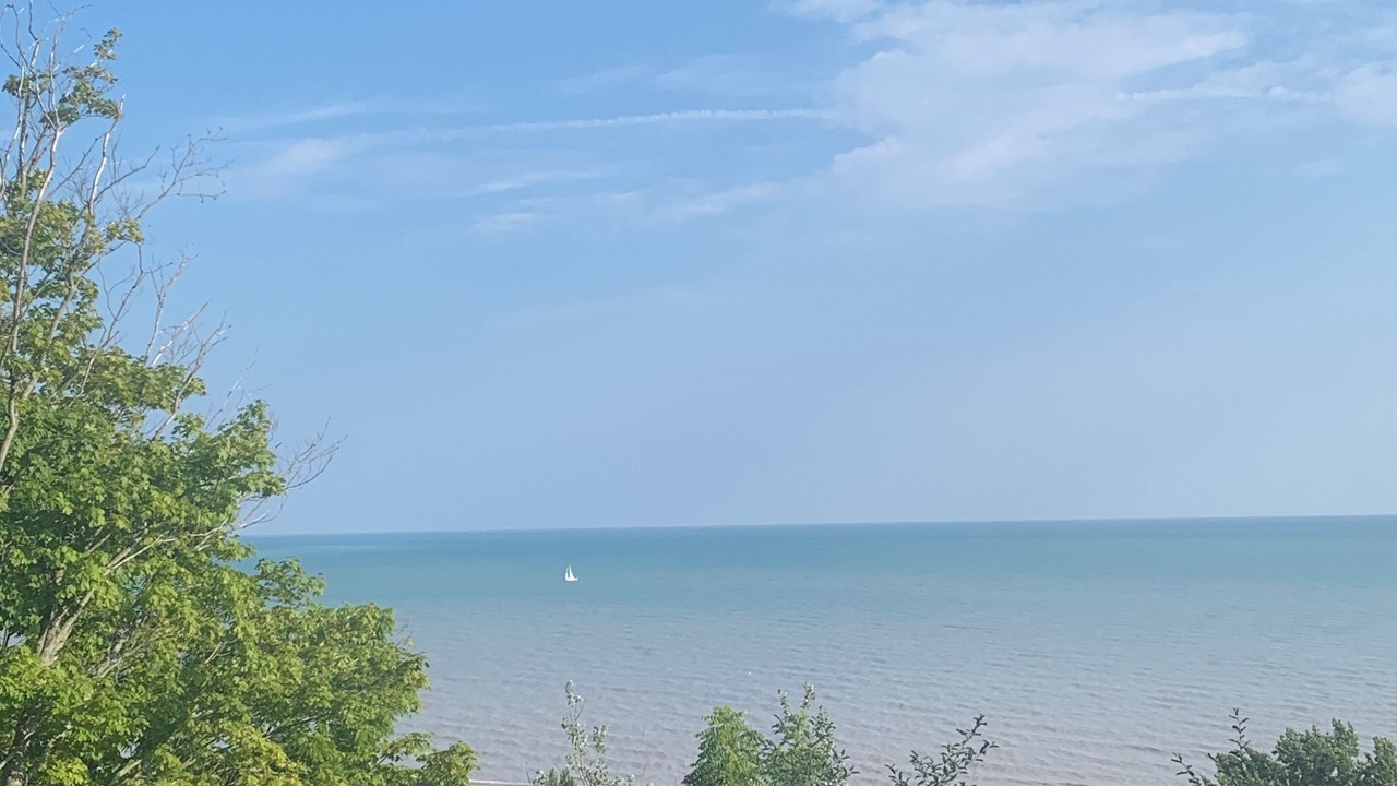 Photo of Others in Port Stanley