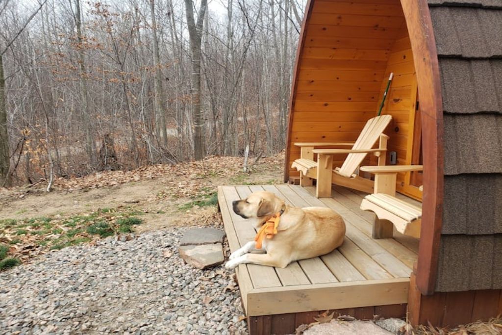 Photo of Outdoor in Golden Lake
