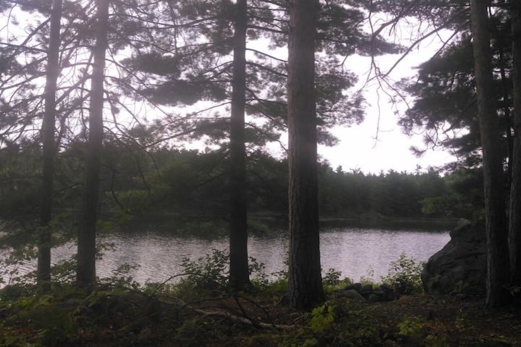 Photo of Others in Golden Lake