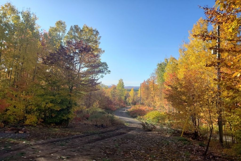 Photo of Outdoor in Golden Lake