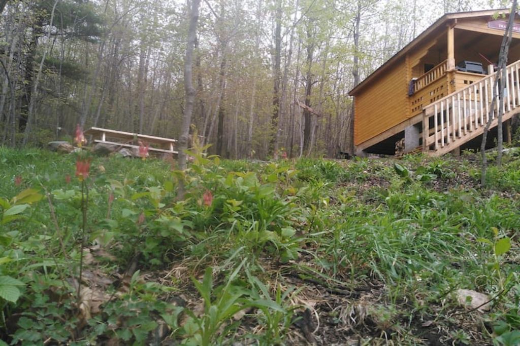 Photo of Outdoor in Golden Lake