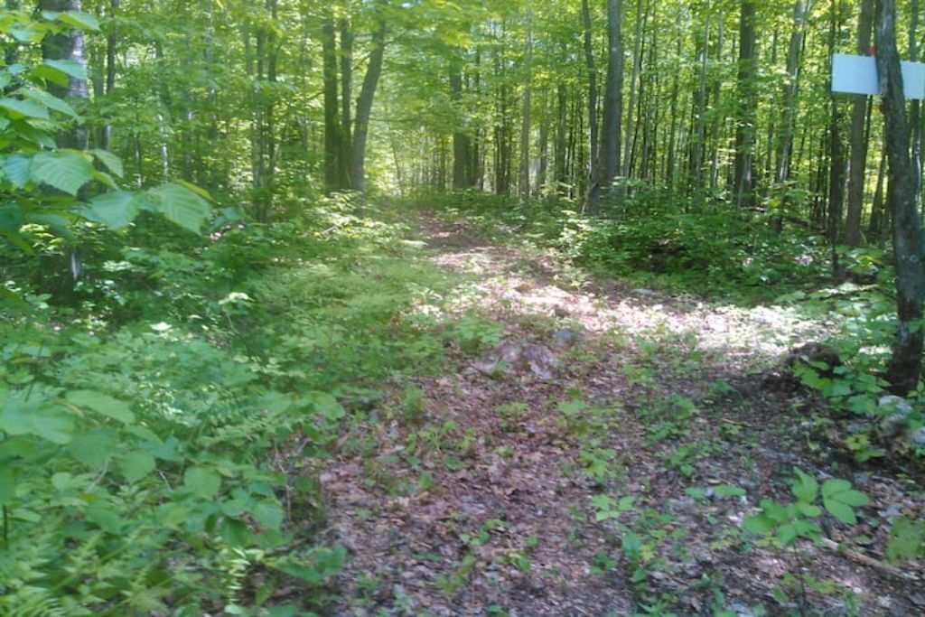 Photo of Outdoor in Golden Lake