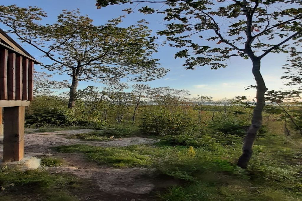 Photo of Outdoor in Golden Lake