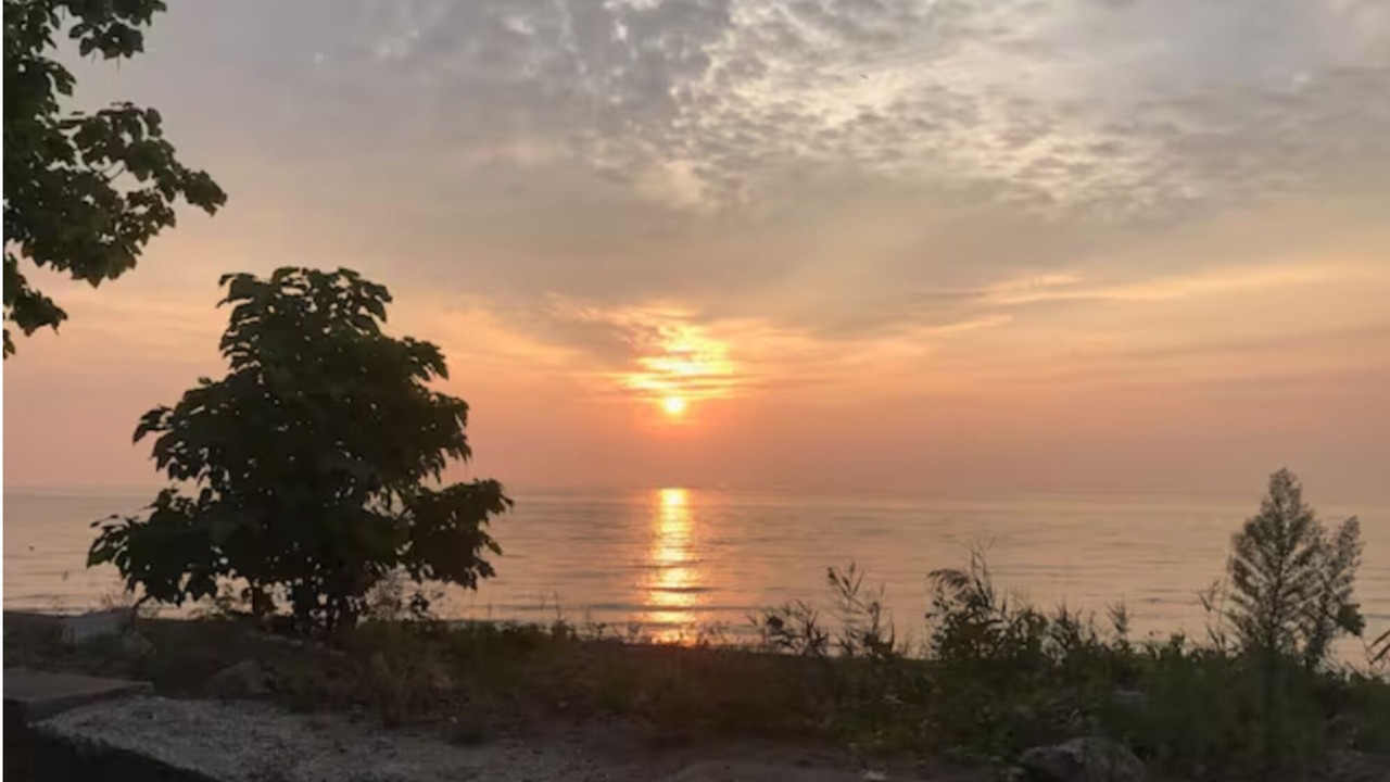 Photo of Outdoor in Turkey Point
