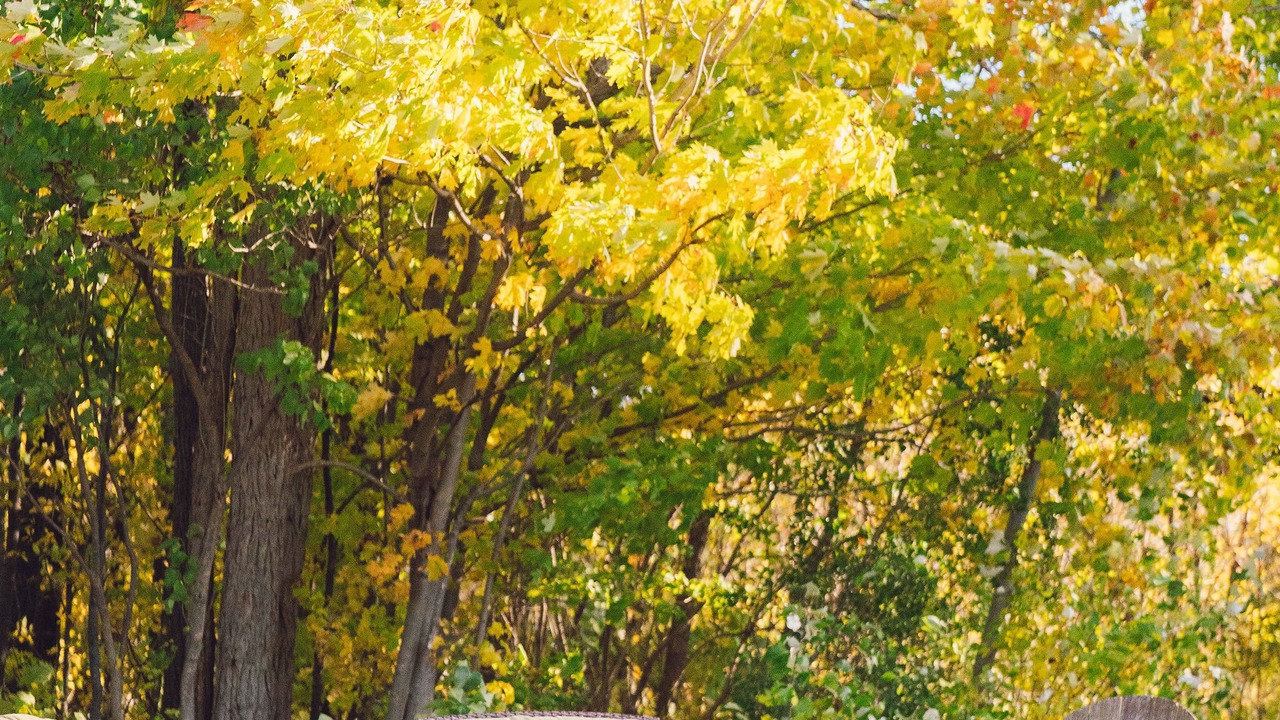 Photo of Outdoor in Cressy