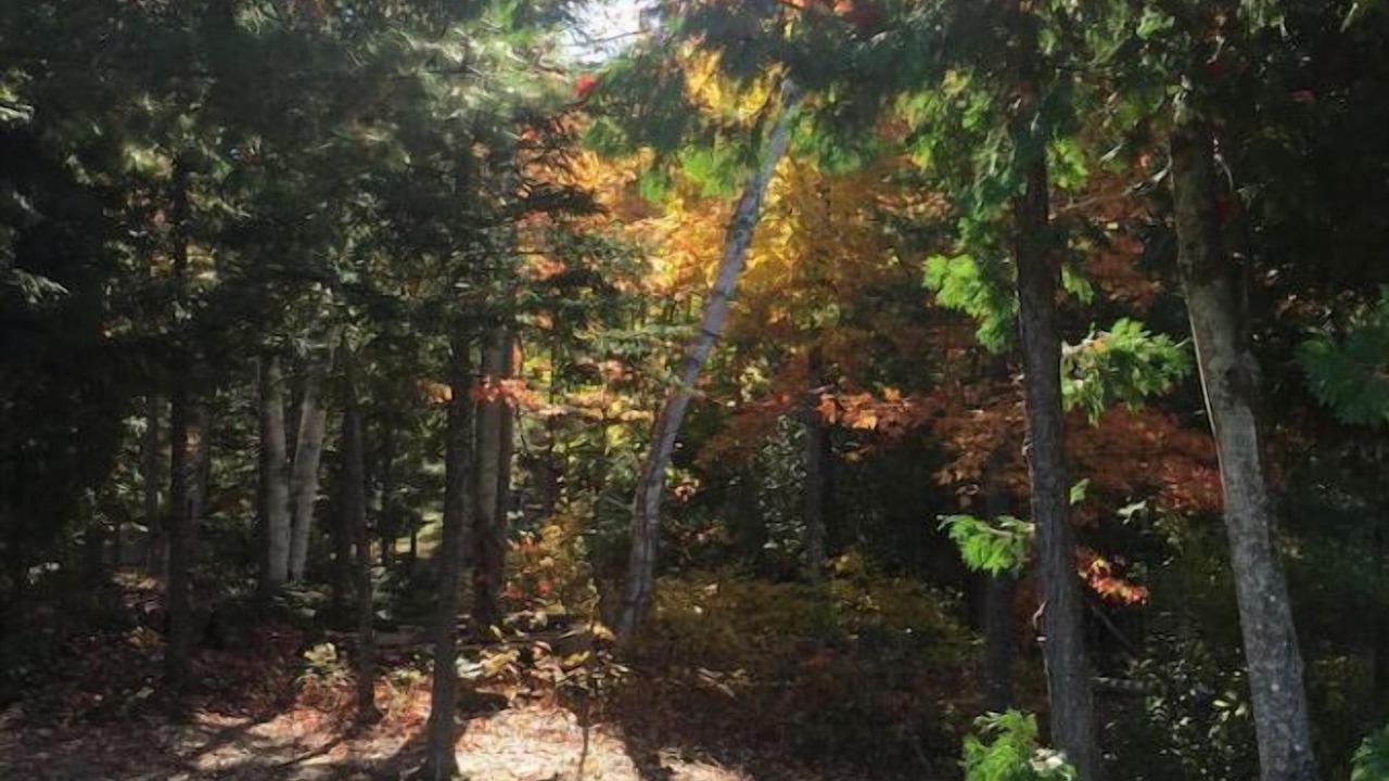 Photo of Outdoor in Irondale