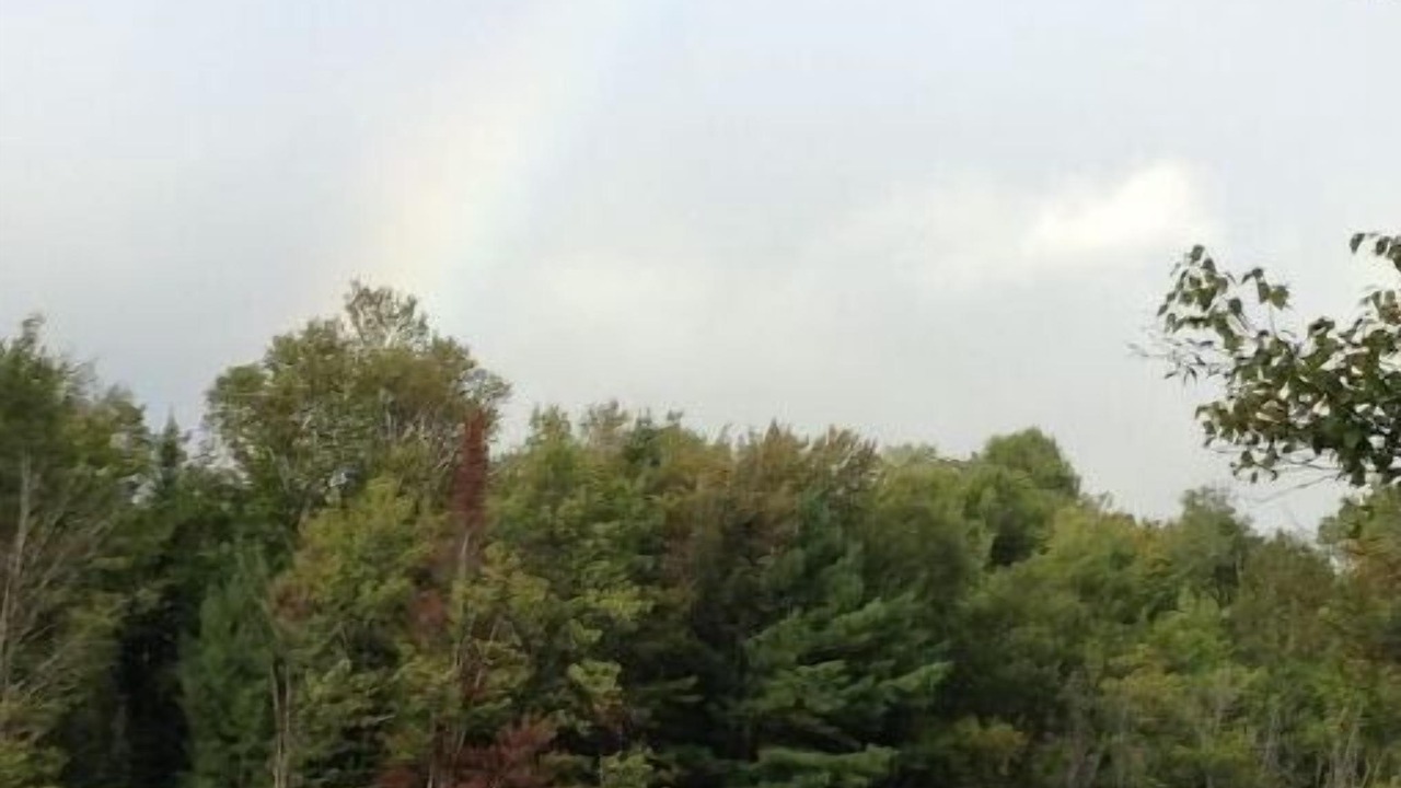 Photo of Outdoor in Irondale