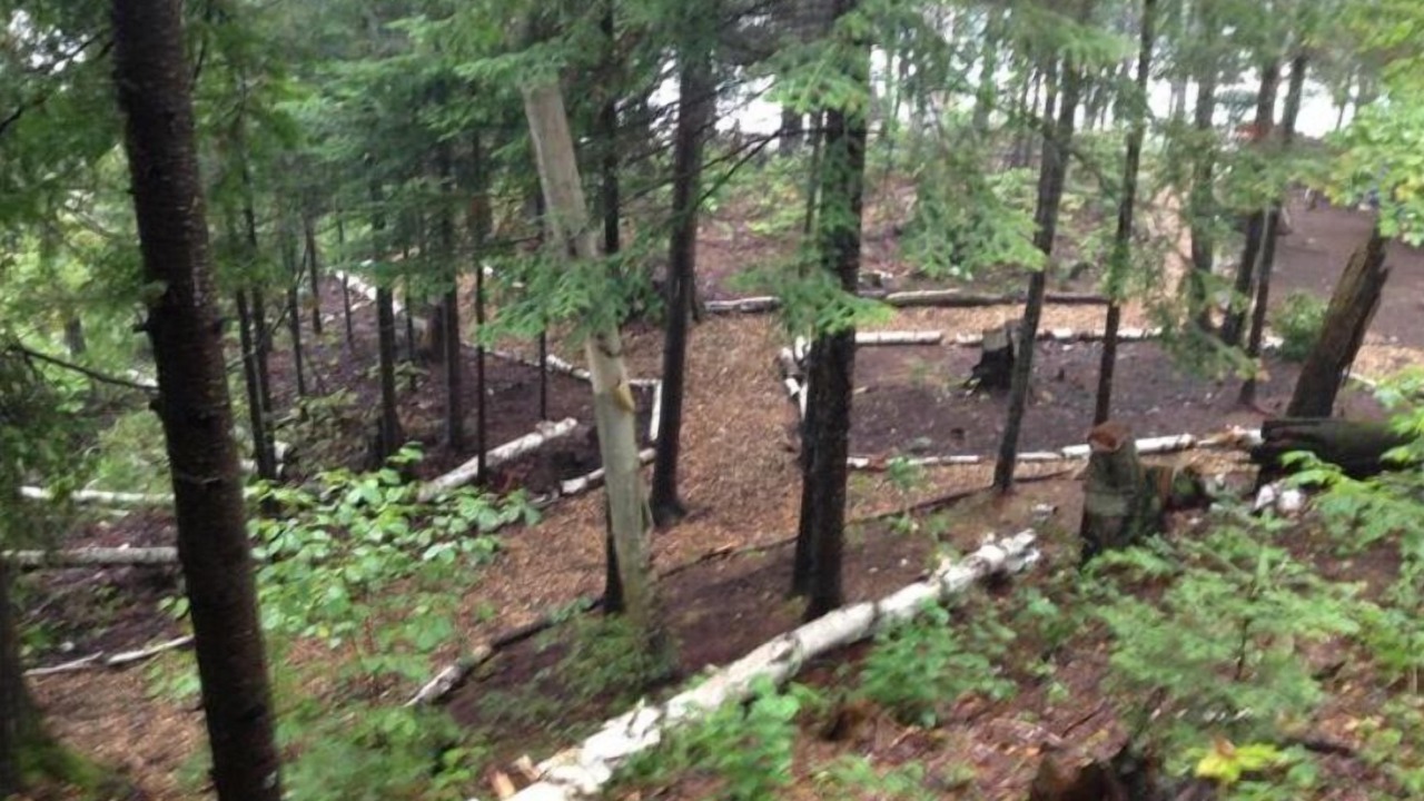 Photo of Outdoor in Irondale
