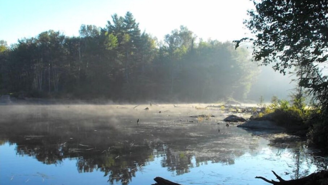 Photo of Others in Irondale