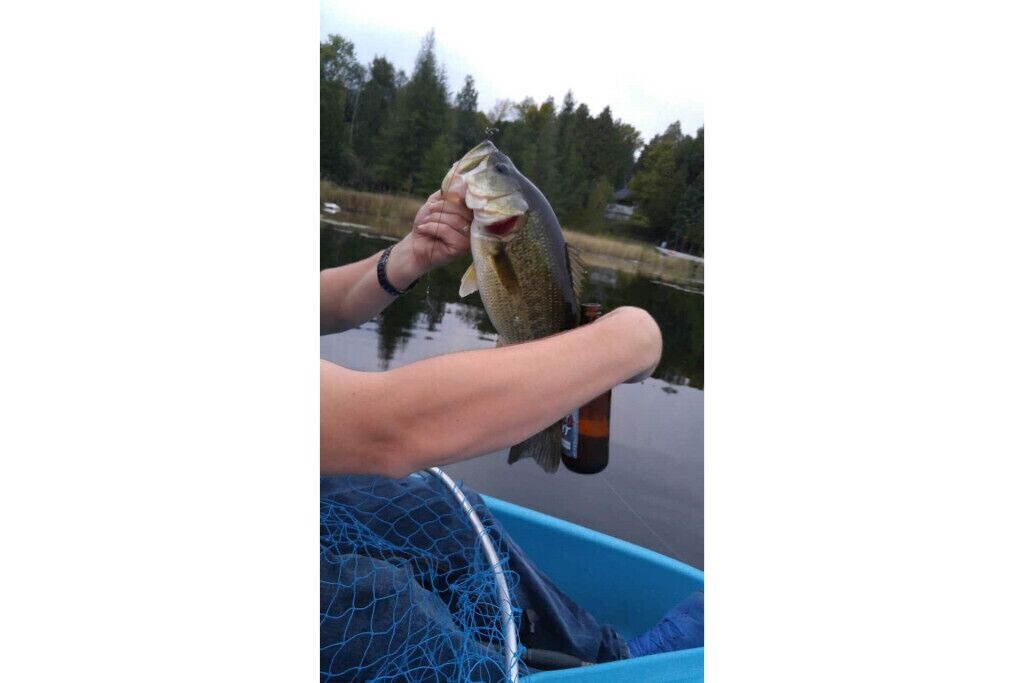 Photo of Others in Lanark Highlands