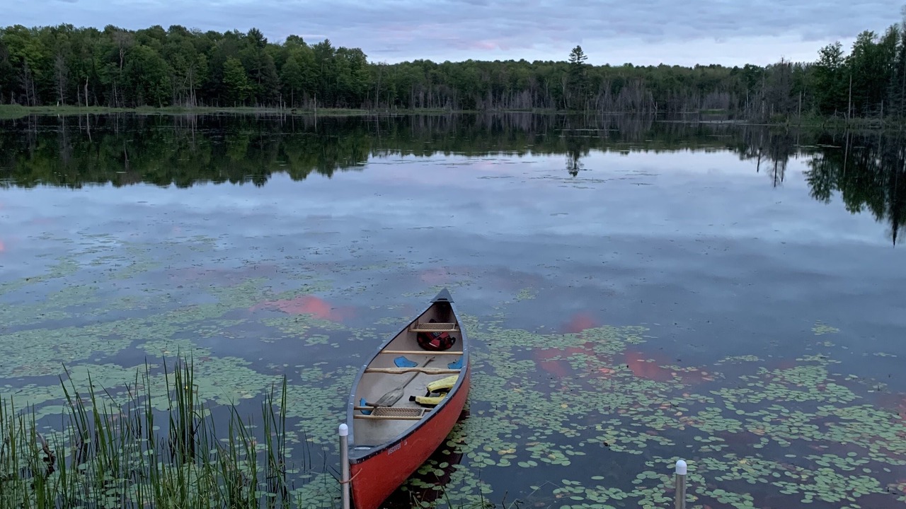 Photo of Outdoor in Madoc