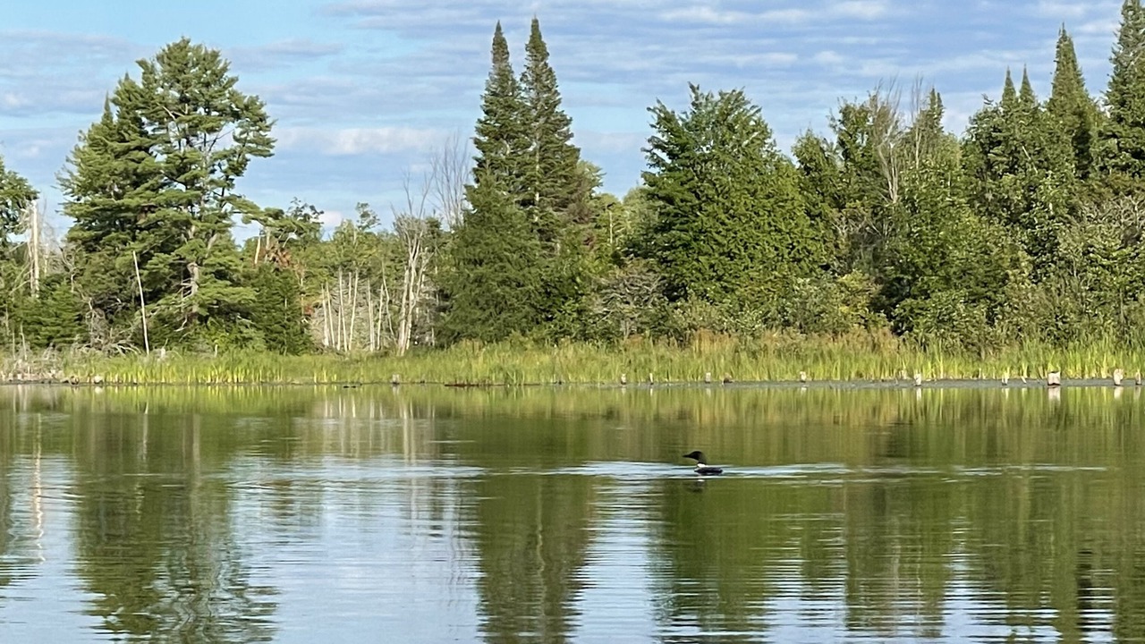 Photo of Outdoor in Madoc