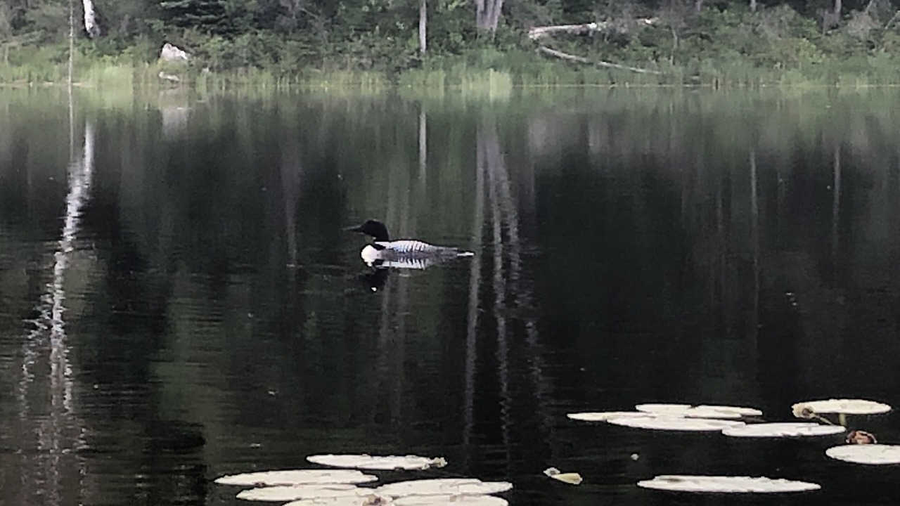 Photo of Others in Madoc