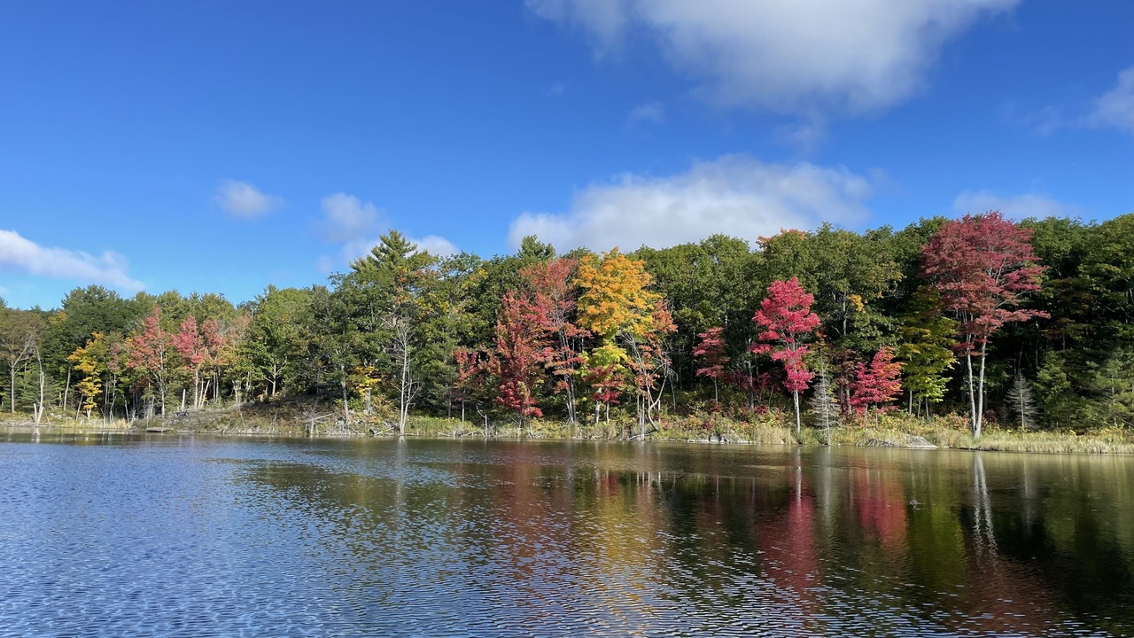 Photo of Outdoor in Madoc