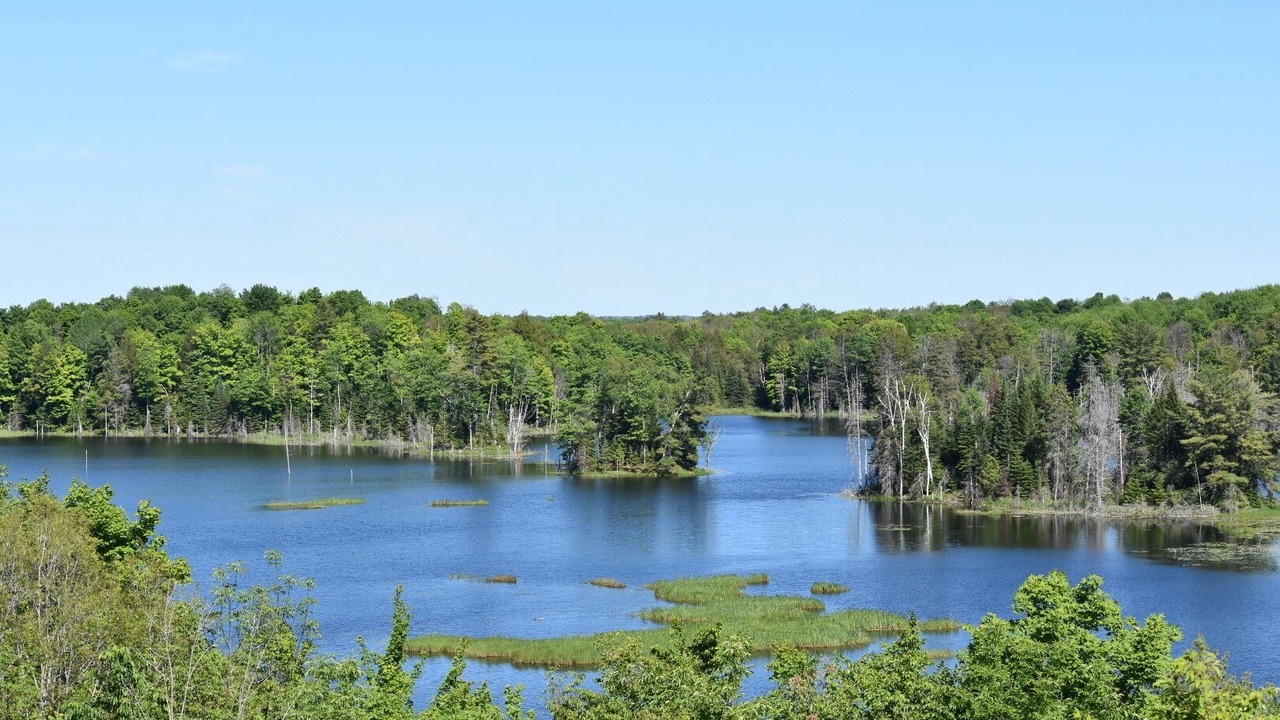 Photo of Outdoor in Madoc