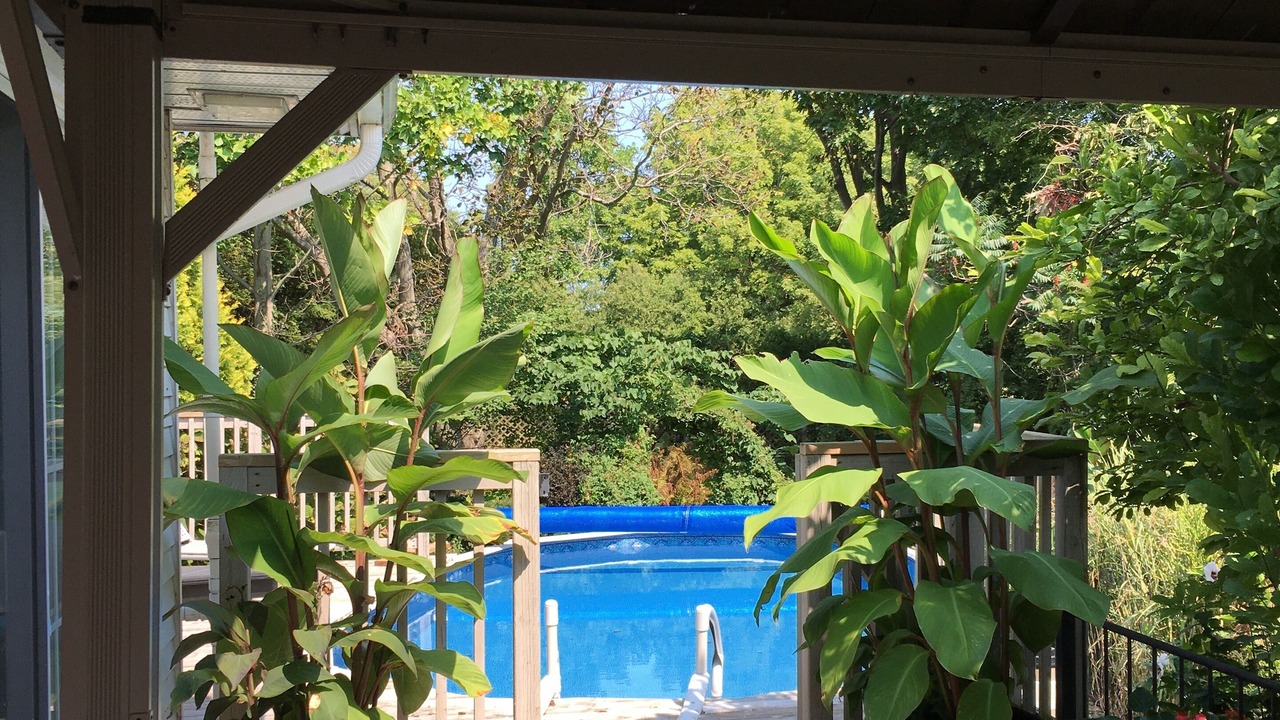 Photo of Patio Balcony in Port Rowan