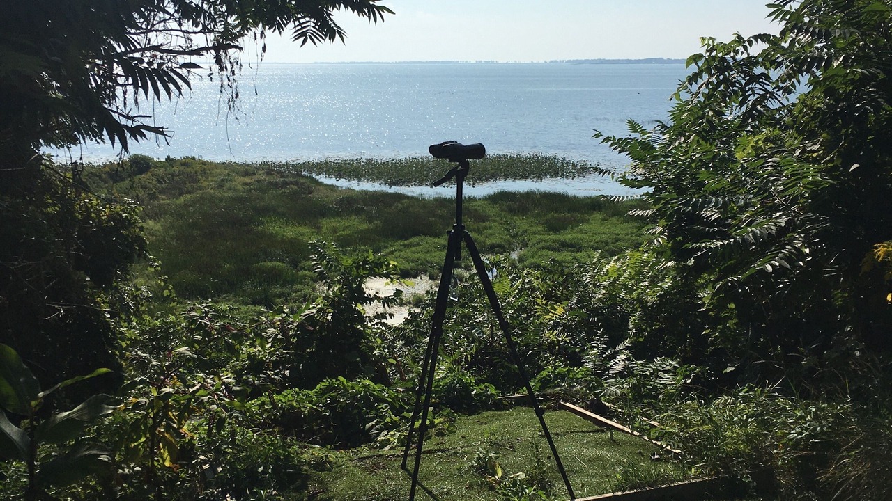 Photo of Others in Port Rowan