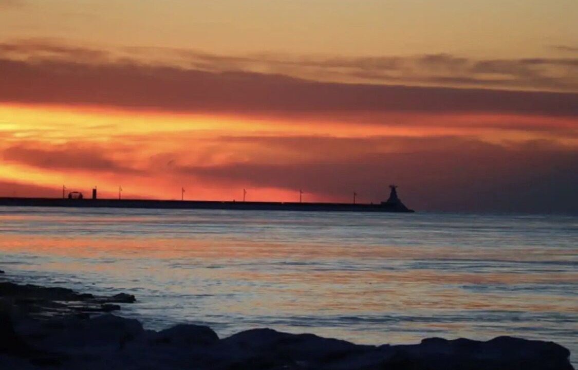 Photo of Others in Port Stanley