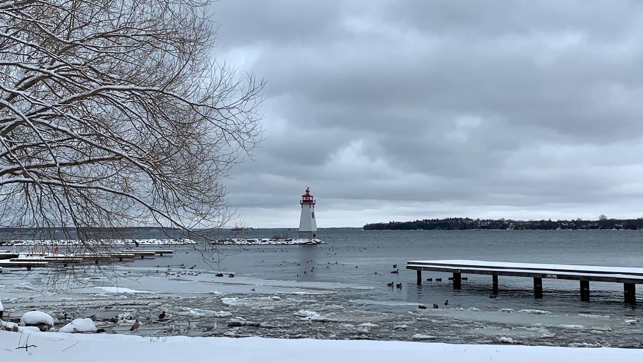 Photo of Outdoor in Georgina