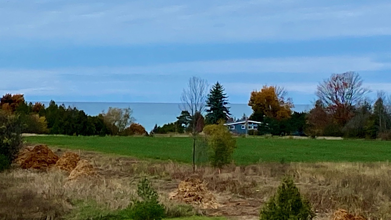 Photo of Others in Port Albert