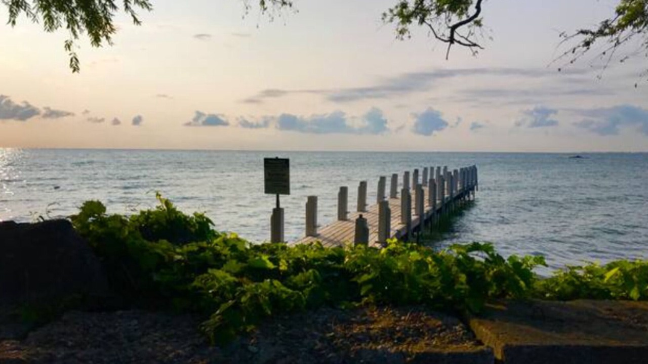 Photo of Others in Turkey Point