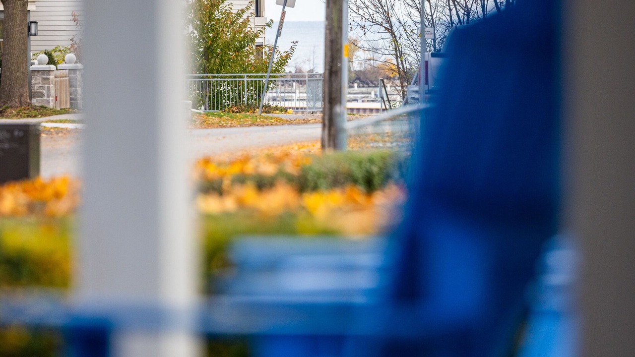 Photo of Others in Port Dalhousie