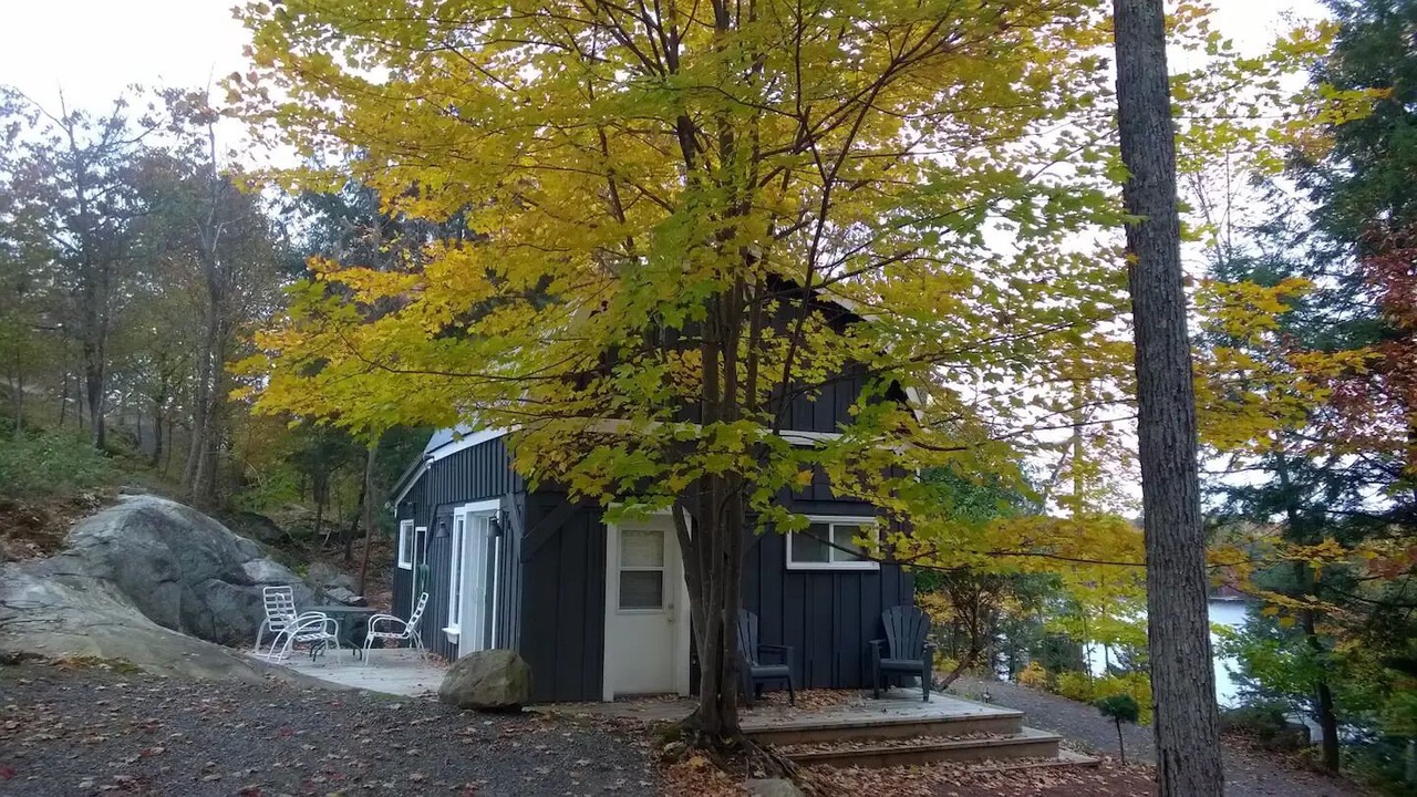 Photo of Outdoor in Muskoka Lakes