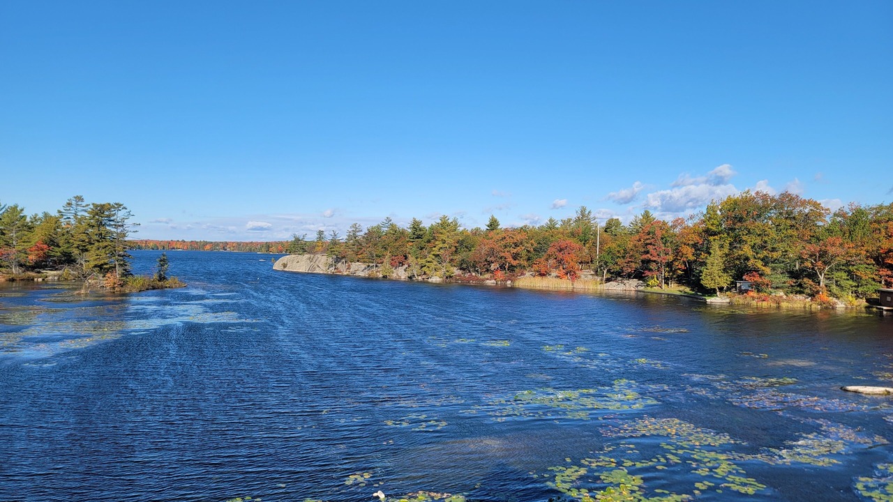 Photo of Outdoor in Trent Lakes