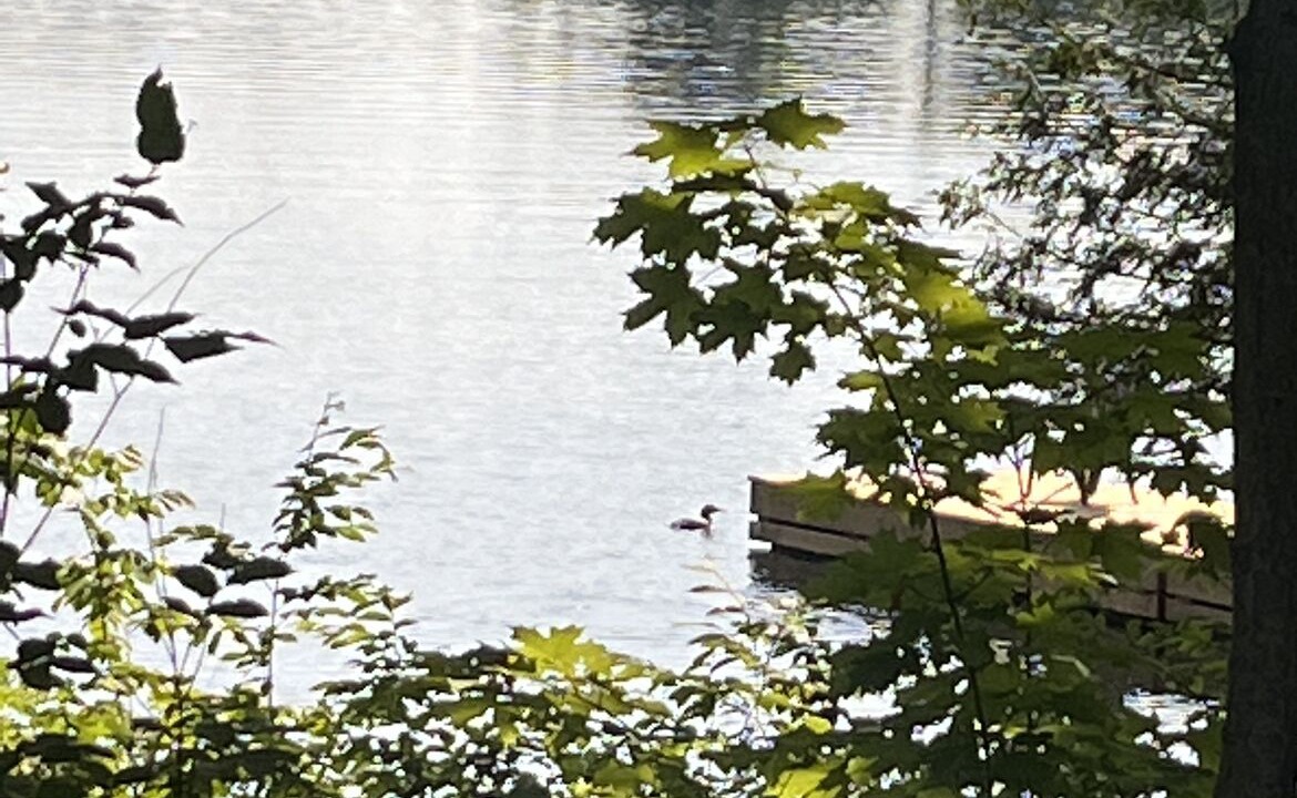 Photo of Outdoor in Georgian Bay
