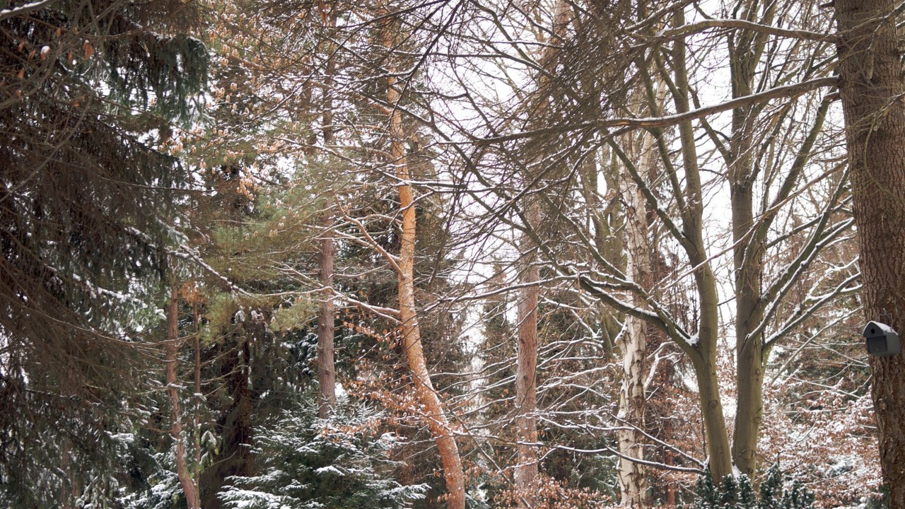 Photo of Others in Brainerd