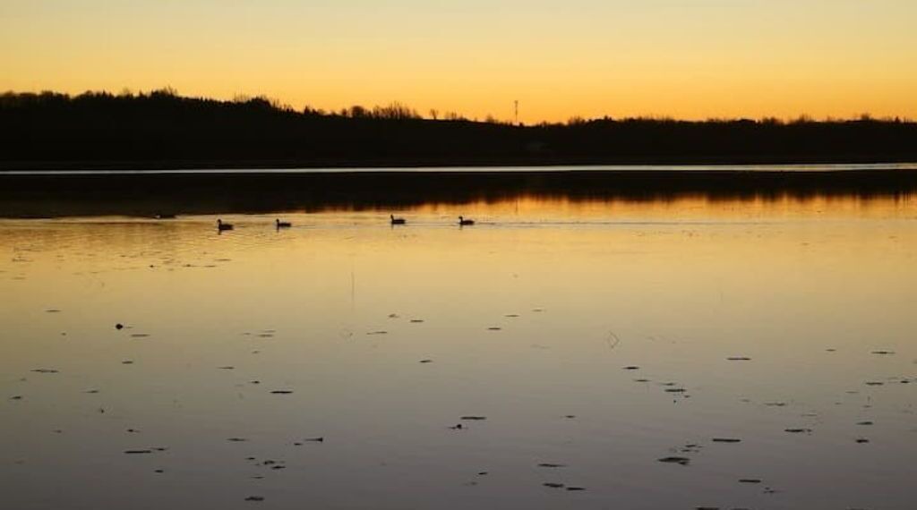 Photo of Others in Omemee