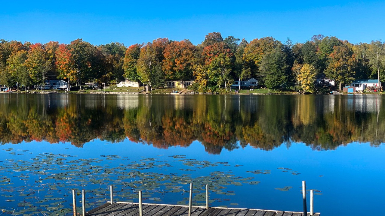 Photo of Others in Havelock-Belmont-Methuen