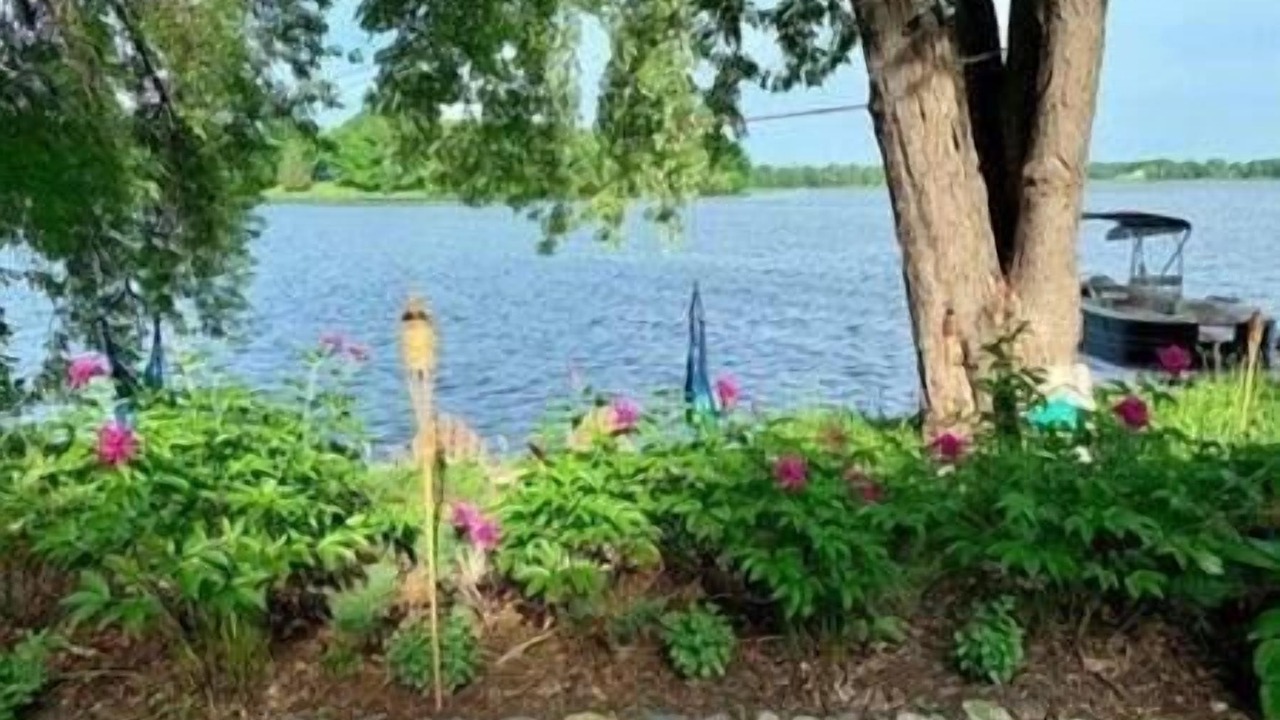Photo of Outdoor in Maple Lake