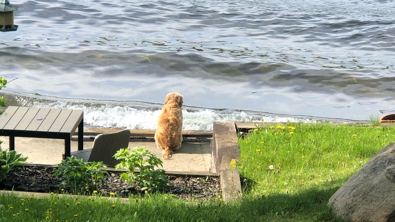 Photo of Outdoor in Georgian Bay